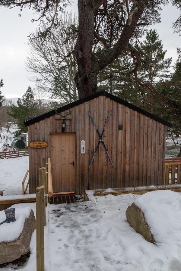 Pine Marten Bar Glenmore Treehouse อาวีมอร์ ภายนอก รูปภาพ